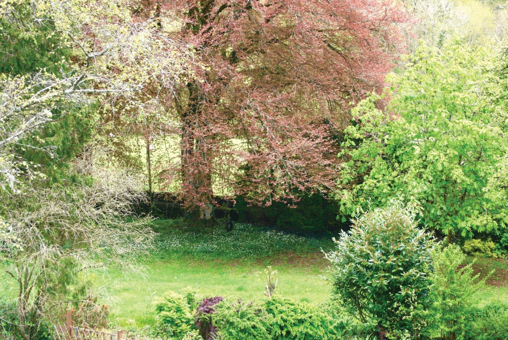 Afon Rhaiadr Country House Dolgellau Esterno foto