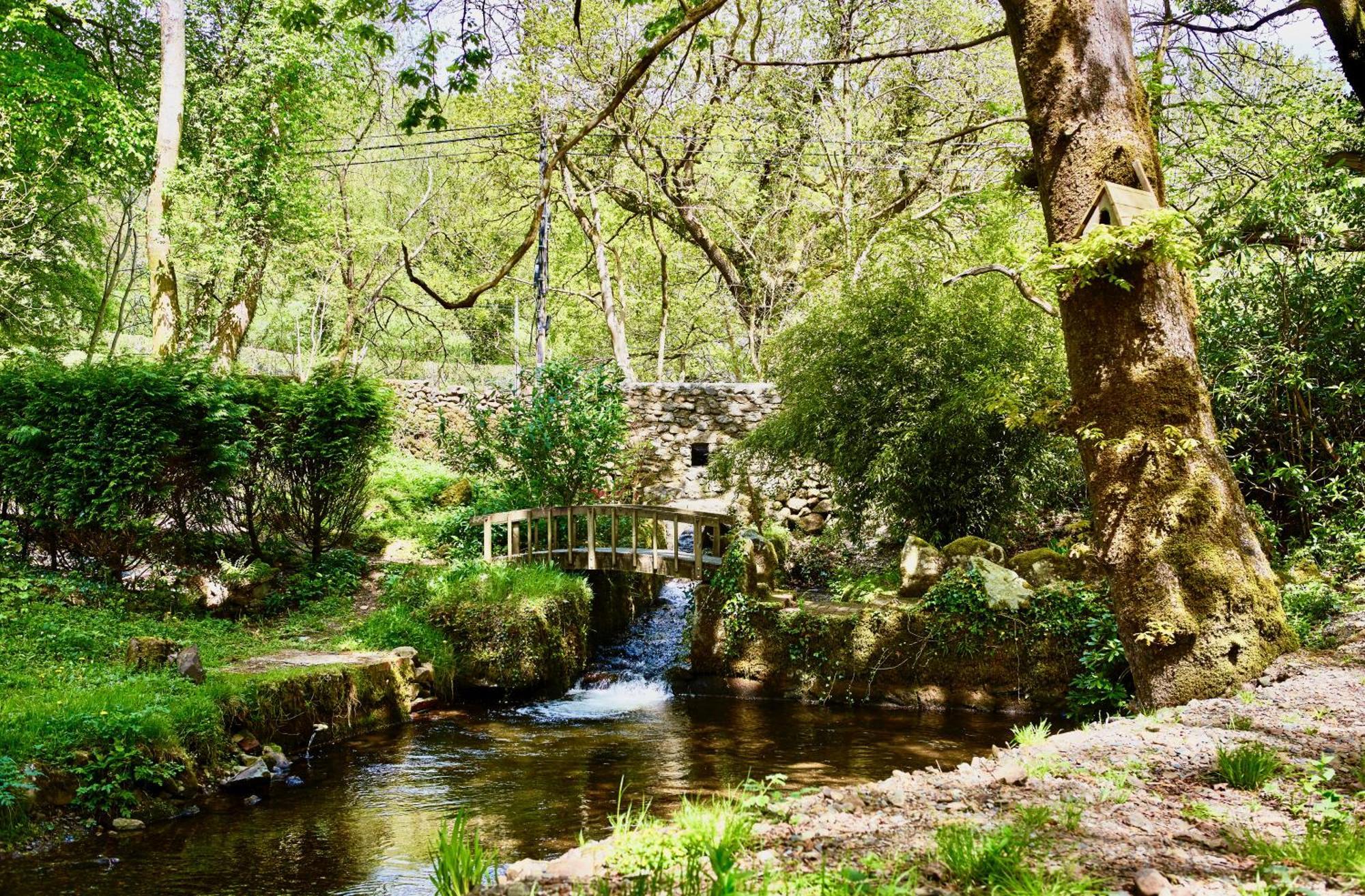 Afon Rhaiadr Country House Dolgellau Esterno foto